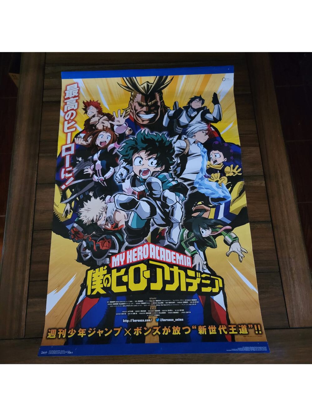My Hero Academia Main Characters Poster - 22.375" x 34"